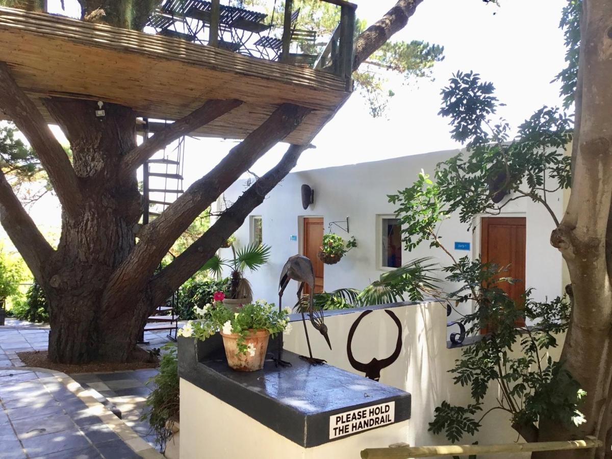 Oceangolf Guest House Noordhoek Exterior photo
