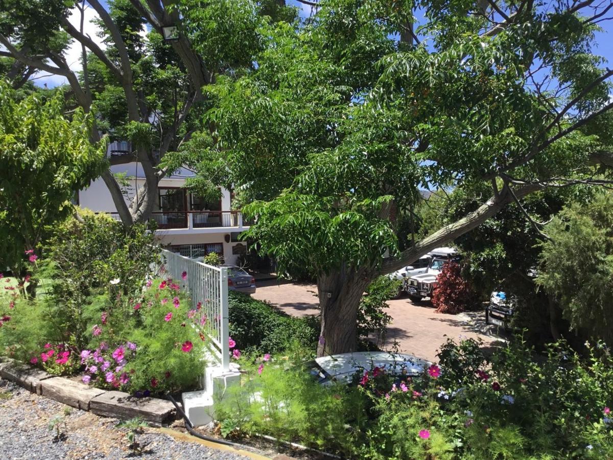 Oceangolf Guest House Noordhoek Exterior photo