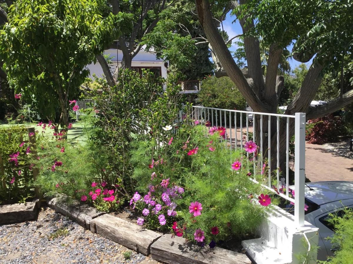 Oceangolf Guest House Noordhoek Exterior photo
