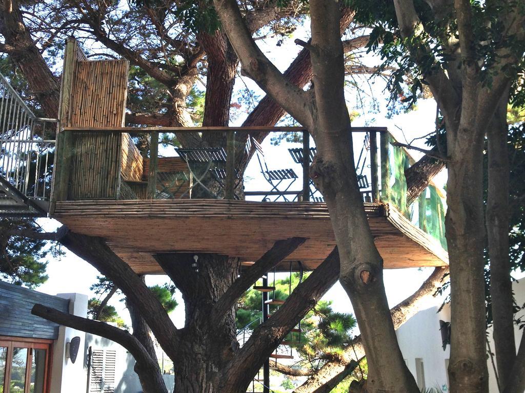 Oceangolf Guest House Noordhoek Exterior photo
