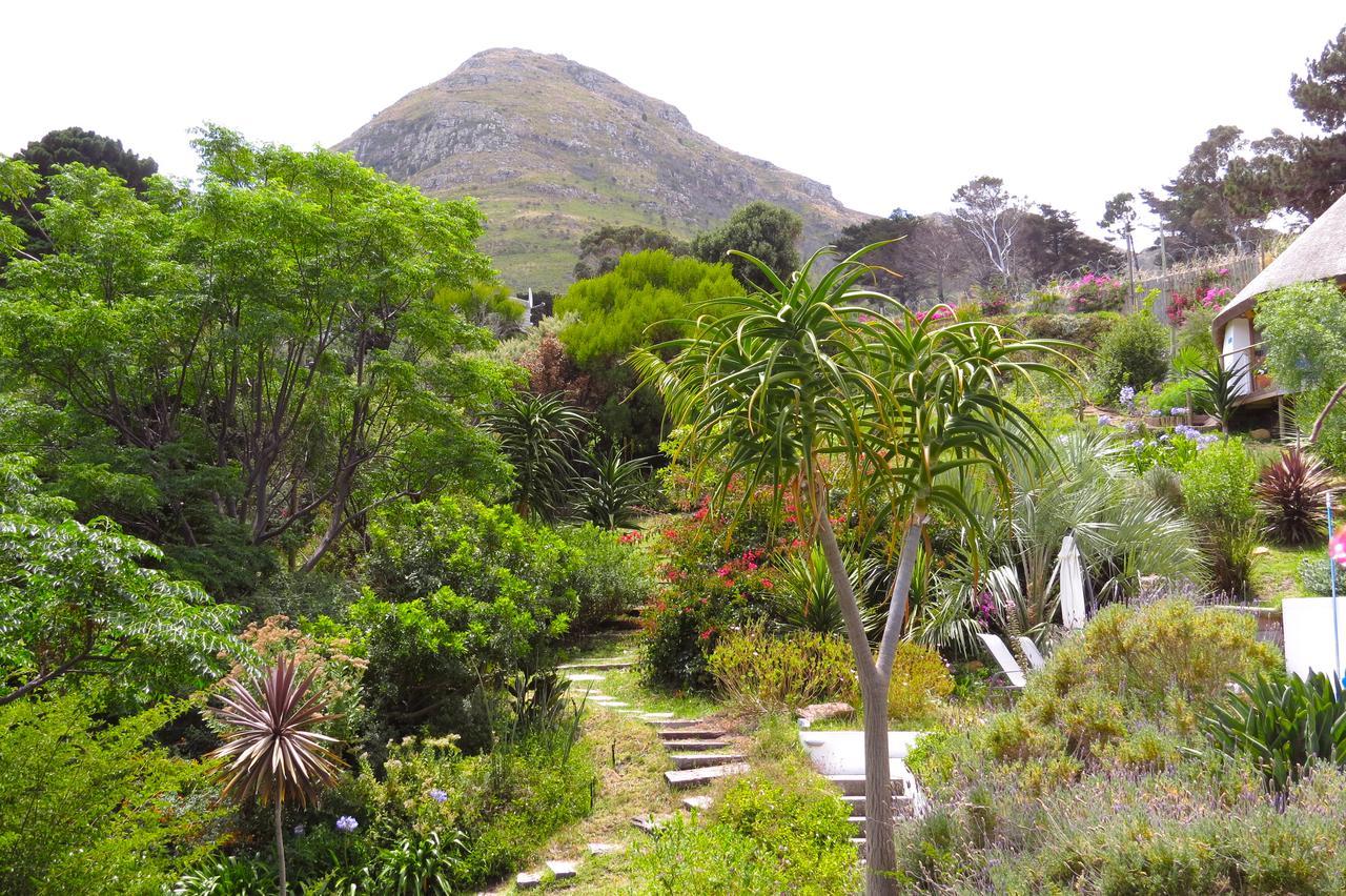 Oceangolf Guest House Noordhoek Exterior photo